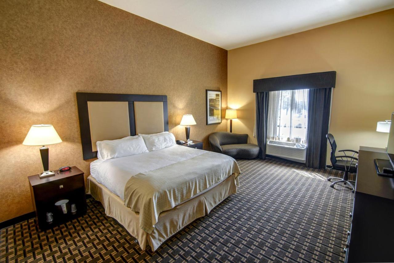 Standard Room at Holiday Inn Arlington NE-Rangers Ballpark, an IHG Hotel