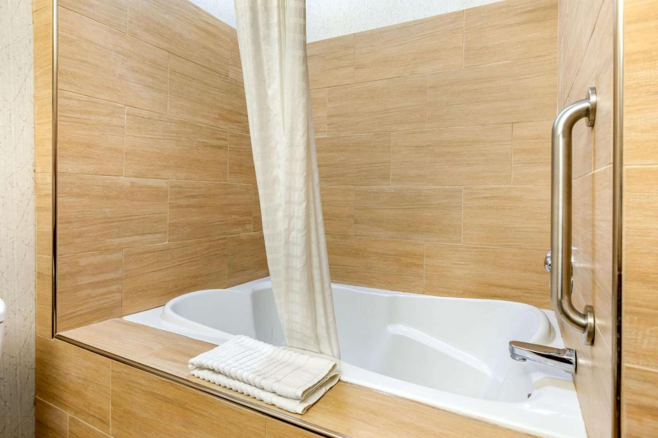 King Room with Spa Bath at Comfort Suites Southgate-Detroit