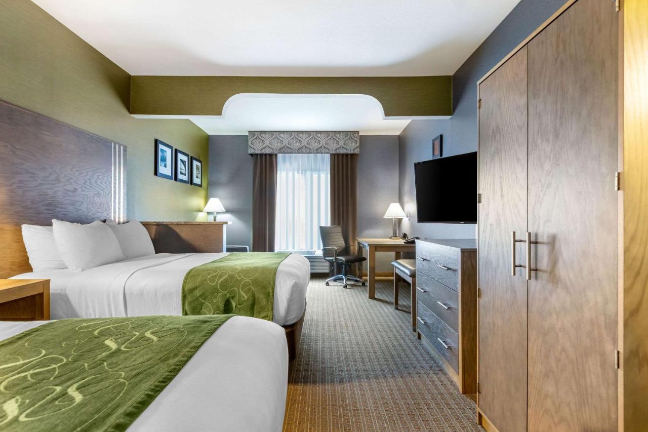 Queen Suite at Comfort Suites Southgate-Detroit