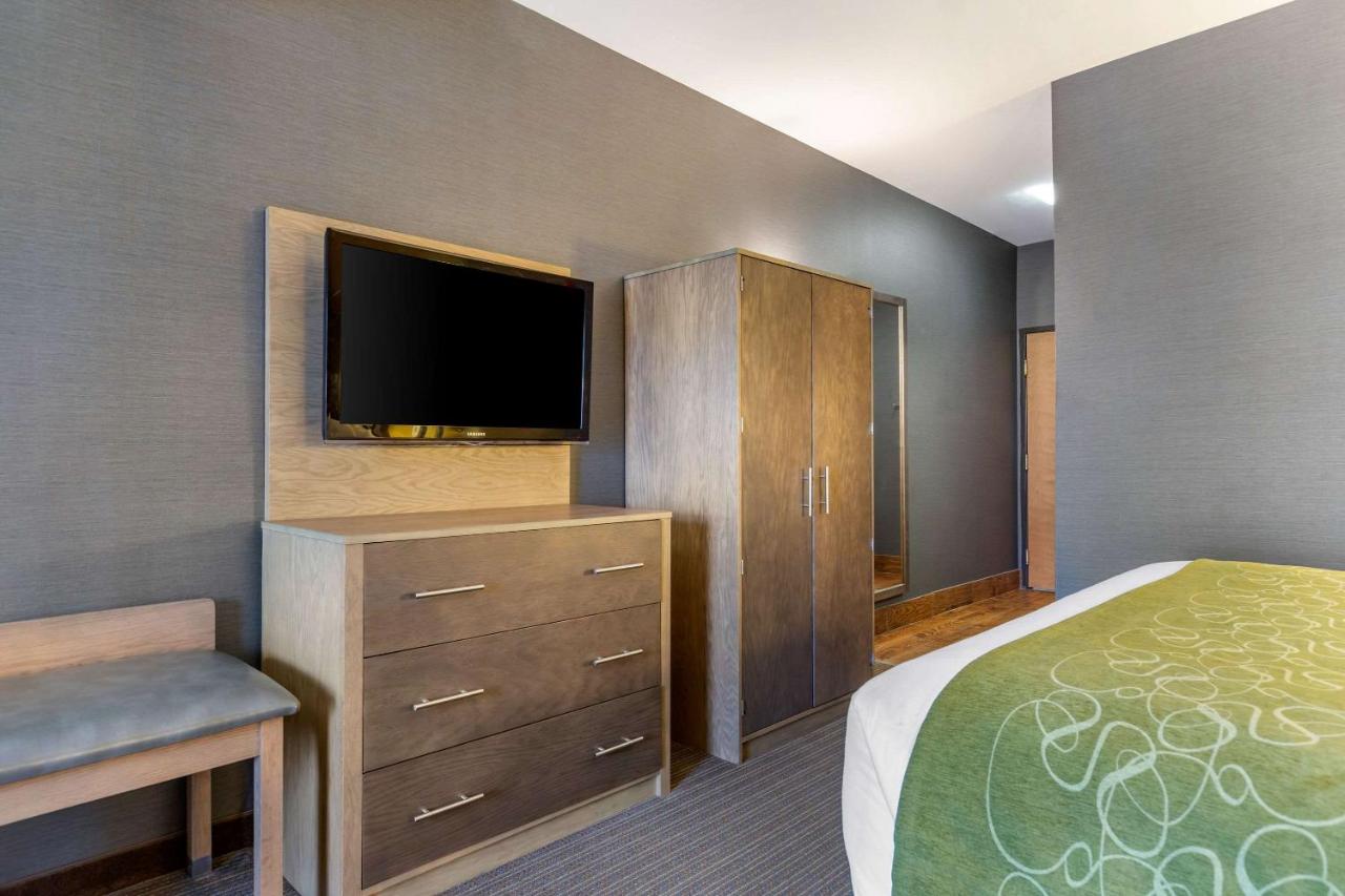 King Room with Spa Bath at Comfort Suites Southgate-Detroit