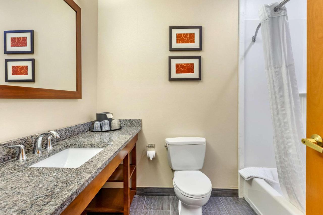 Queen Suite at Comfort Suites Southgate-Detroit