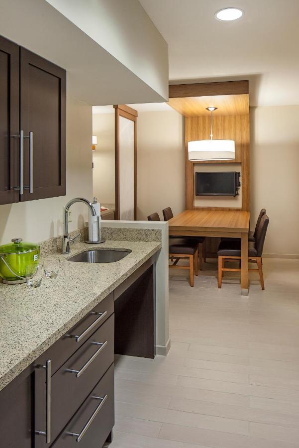 Ada King Suite Shower at Hyatt Place Lincoln / Downtown - Haymarket