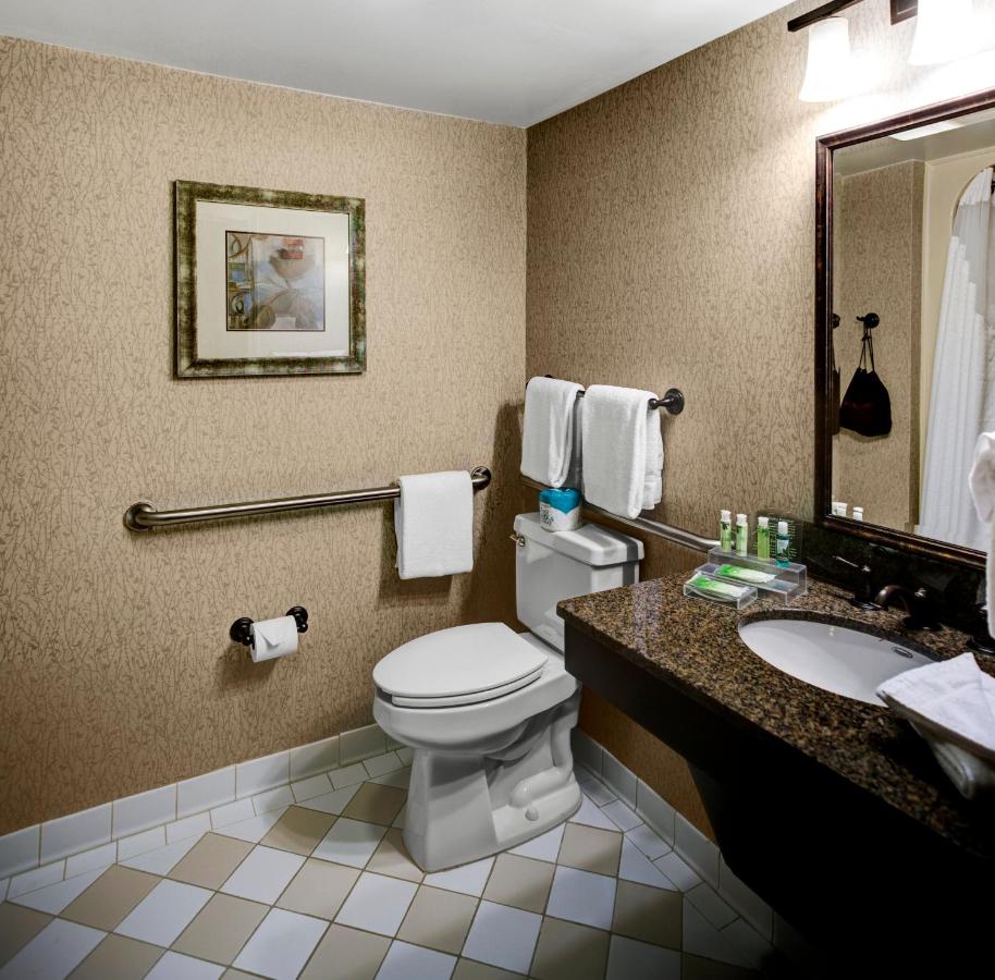 King Room - Hearing Accessible at Holiday Inn Express & Suites Atlanta Buckhead by IHG