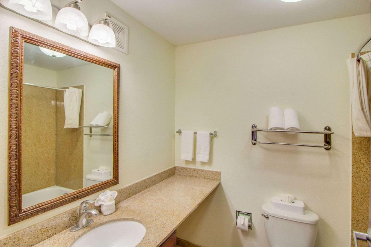 Queen Suite with Sofa Bed - Non-Smoking at MainStay Suites Texas Medical Center/Reliant Park