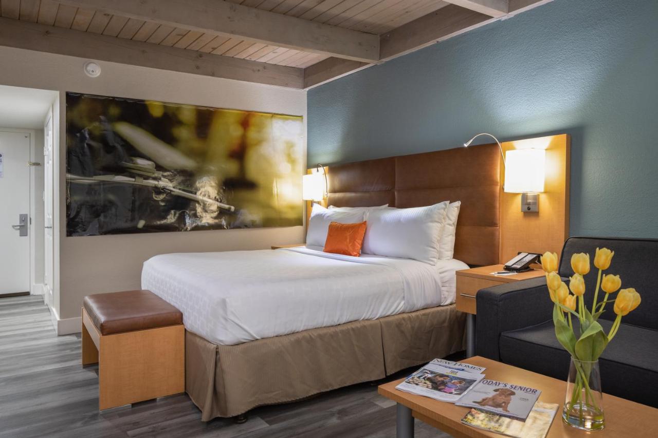 Junior King Suite - Non-Smoking at Prodigy Hotel, a Days Inn by Wyndham