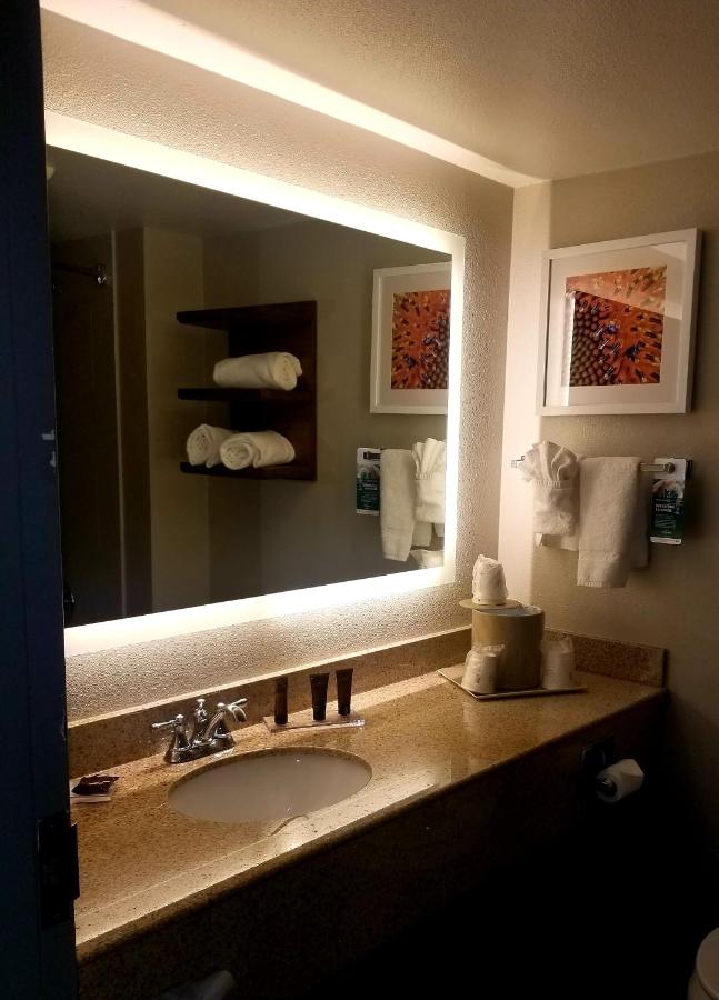 King Suite - Non-Smoking at Wingate by Wyndham DFW / North Irving