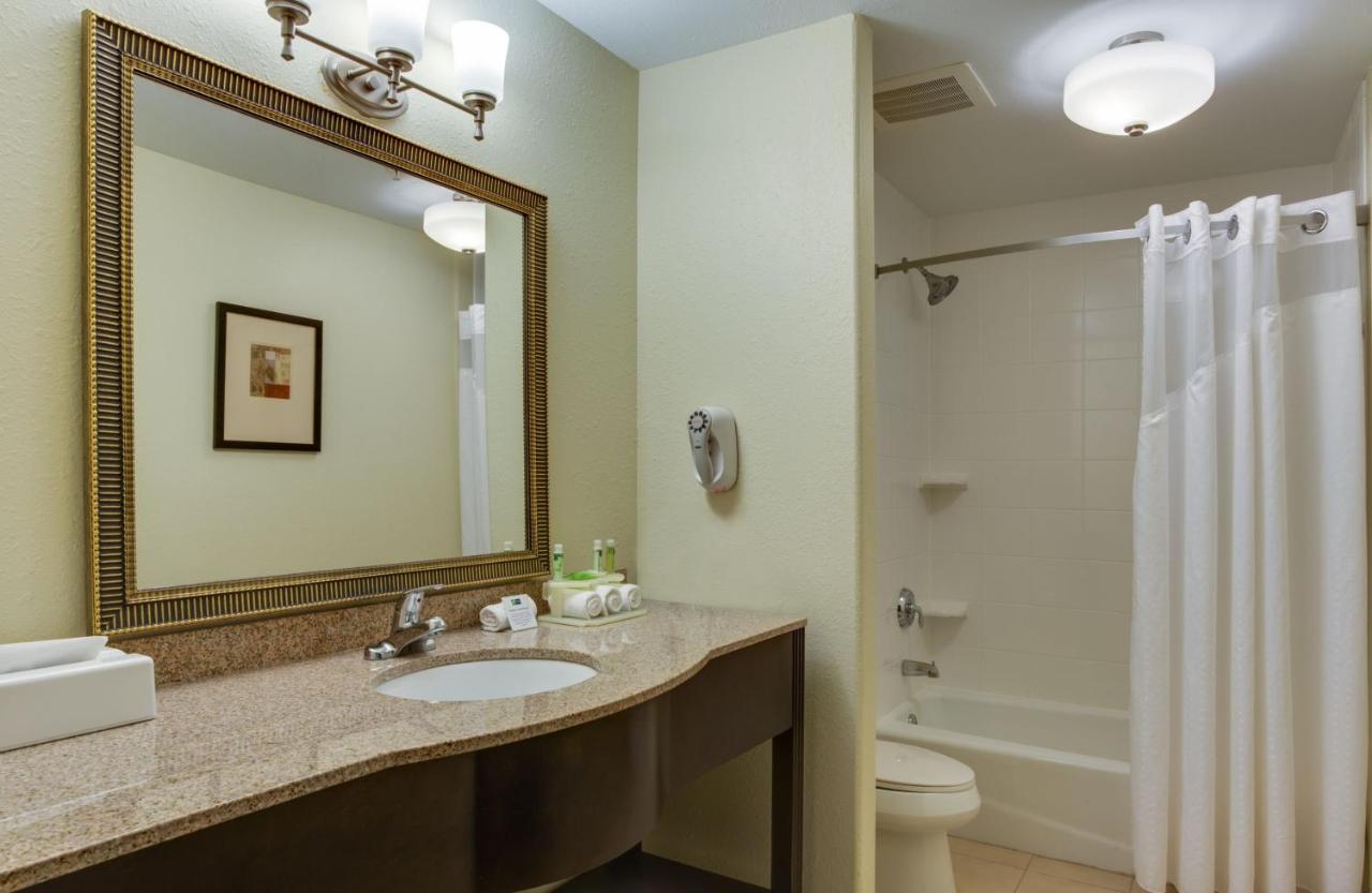 Executive King Suite - Non-Smoking at Holiday Inn Express and Suites Moultrie by IHG