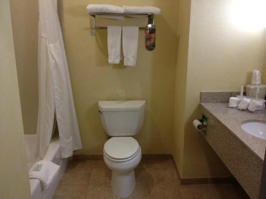 King Room with Wheelchair Accessible Roll In Shower at Holiday Inn Express Hotel & Suites Torrington, an IHG Hotel