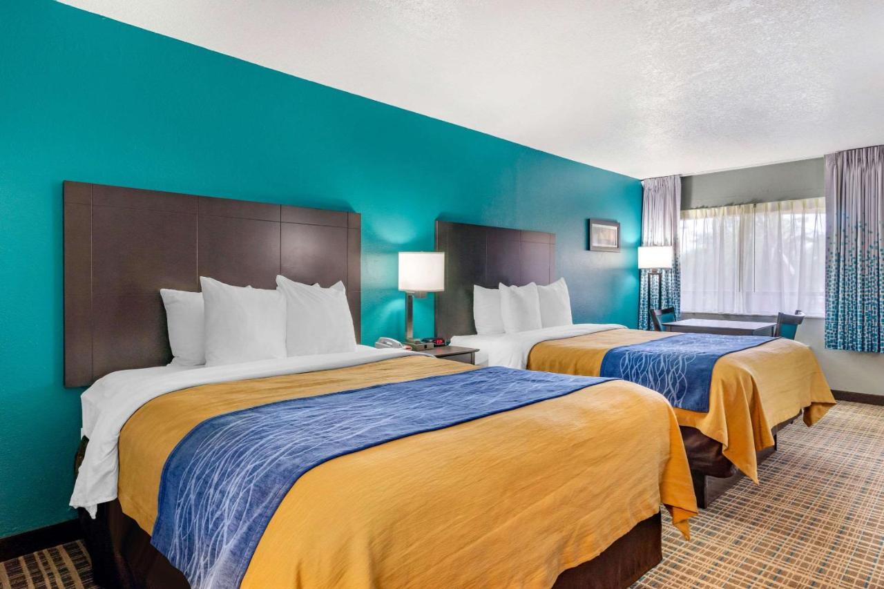 Queen Room with Two Queen Beds - Non-Smoking at Comfort Inn Sun City Center - Ruskin - Tampa South