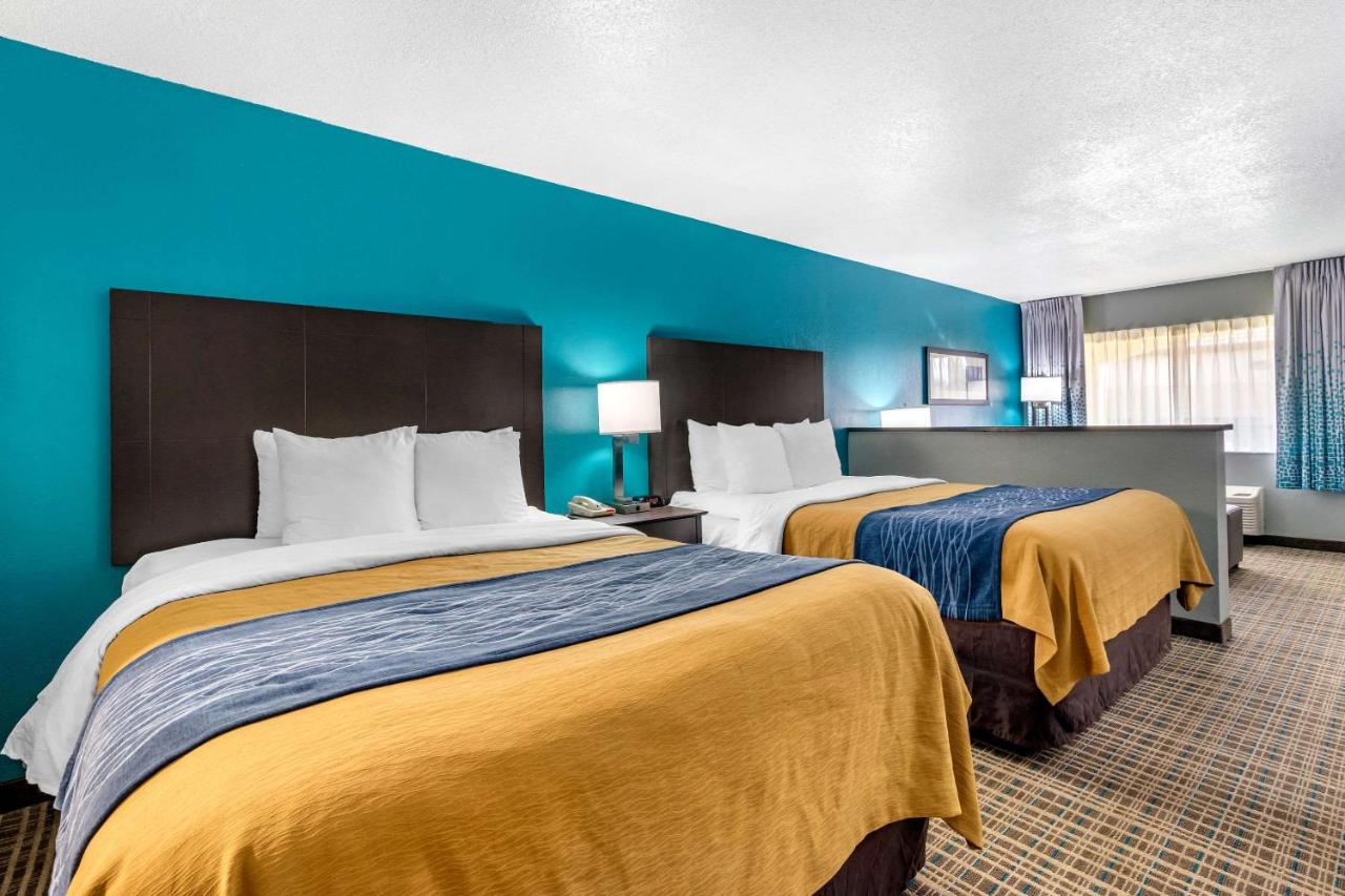 Queen Suite with Two Queen Beds and Sofa Bed at Comfort Inn Sun City Center - Ruskin - Tampa South