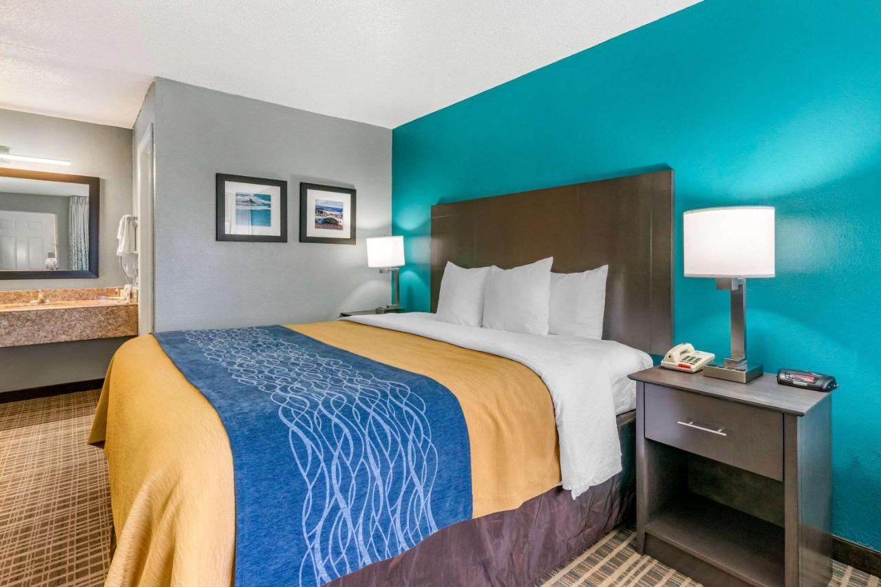 King Room - Non-Smoking at Comfort Inn Sun City Center - Ruskin - Tampa South
