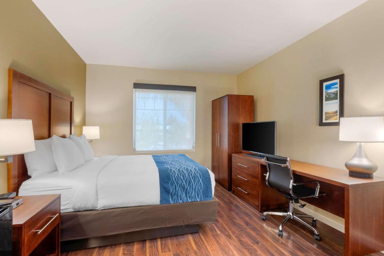 Standard Room, 1 Queen Bed, Non Smoking at Comfort Inn & Suites near Ontario Airport