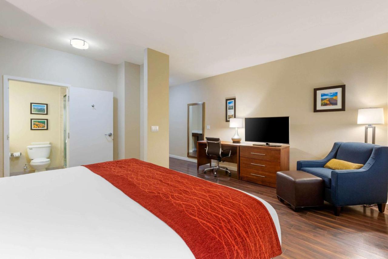 Standard Room, 1 King Bed, Non Smoking at Comfort Inn & Suites near Ontario Airport
