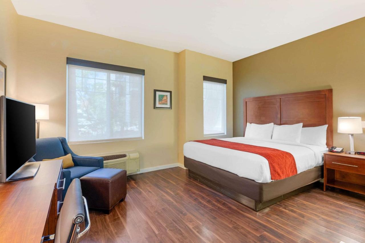 Accessible Room, 1 King Bed, Roll-In Shower, Non Smoking at Comfort Inn & Suites near Ontario Airport