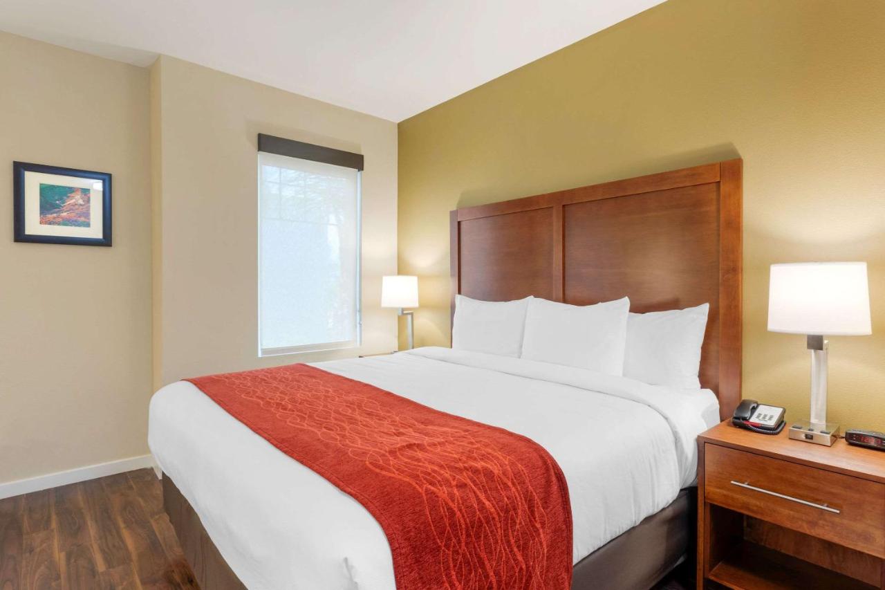 Standard Room, 1 King Bed, Non Smoking at Comfort Inn & Suites near Ontario Airport