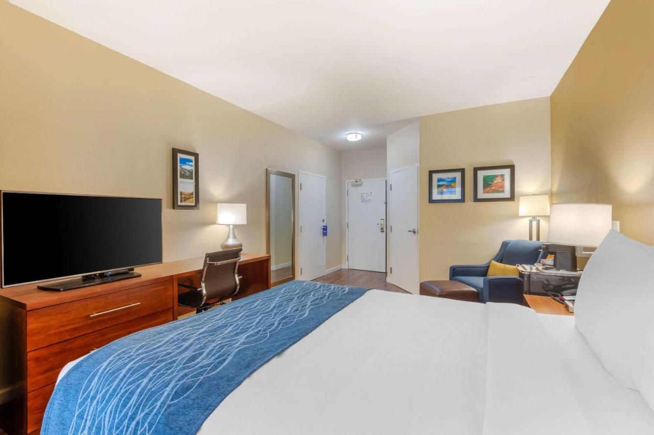 Standard Room, 1 Queen Bed, Non Smoking at Comfort Inn & Suites near Ontario Airport