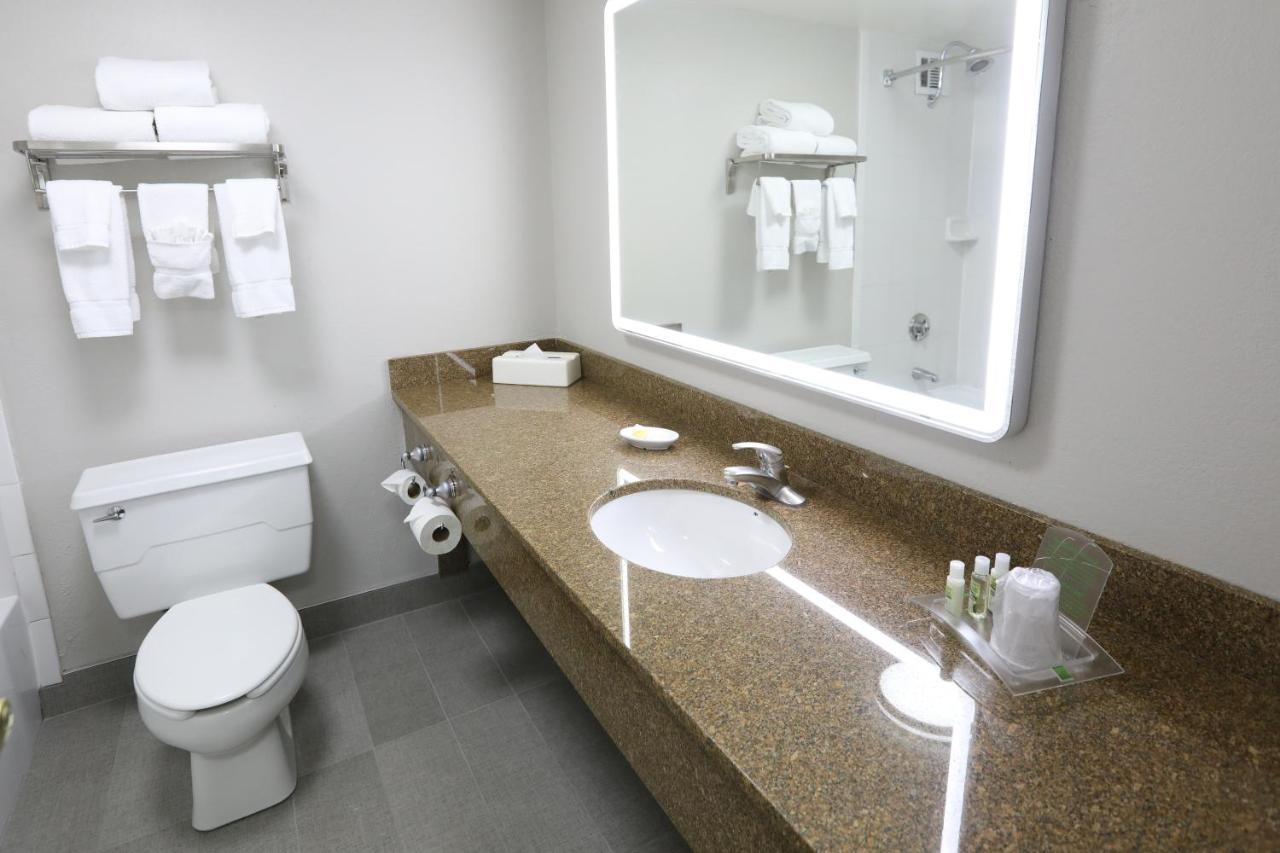 King Room - Non-Smoking at Holiday Inn Chicago O'Hare Area by IHG