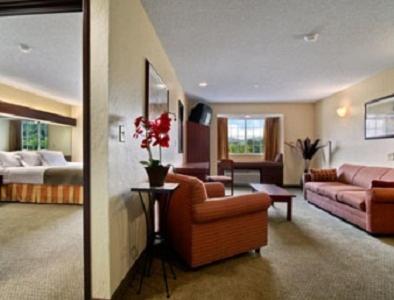 Queen Suite - Non-Smoking at Microtel Inn & Suites by Wyndham Gassaway/Sutton