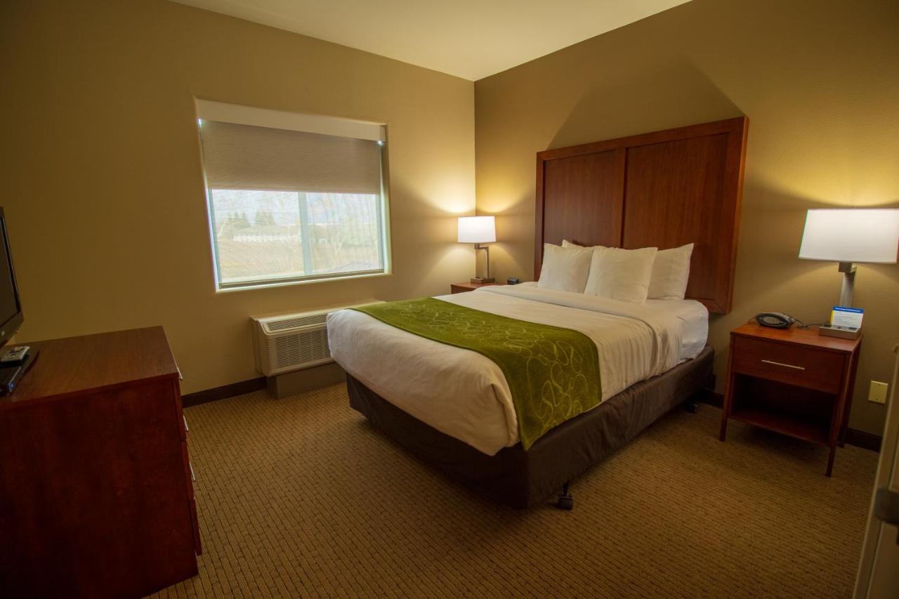 King Suite - Non-Smoking at Comfort Suites Marysville - Yuba City