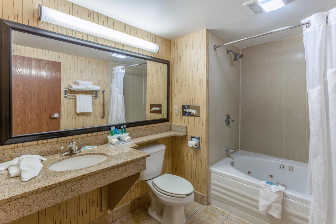 One-Bedroom King Suite with Sofa Bed - Non-Smoking at Holiday Inn Express Hotel & Suites Bowling Green by IHG