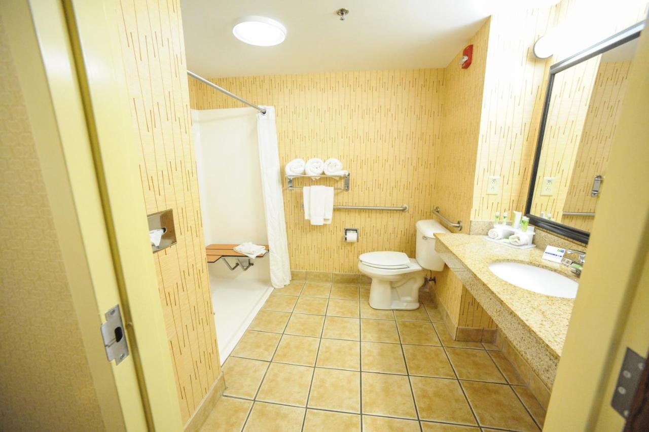 KING MOBILITY ACCESSIBLE TUB NONSMOKING at Holiday Inn Express Hotel & Suites Bowling Green by IHG