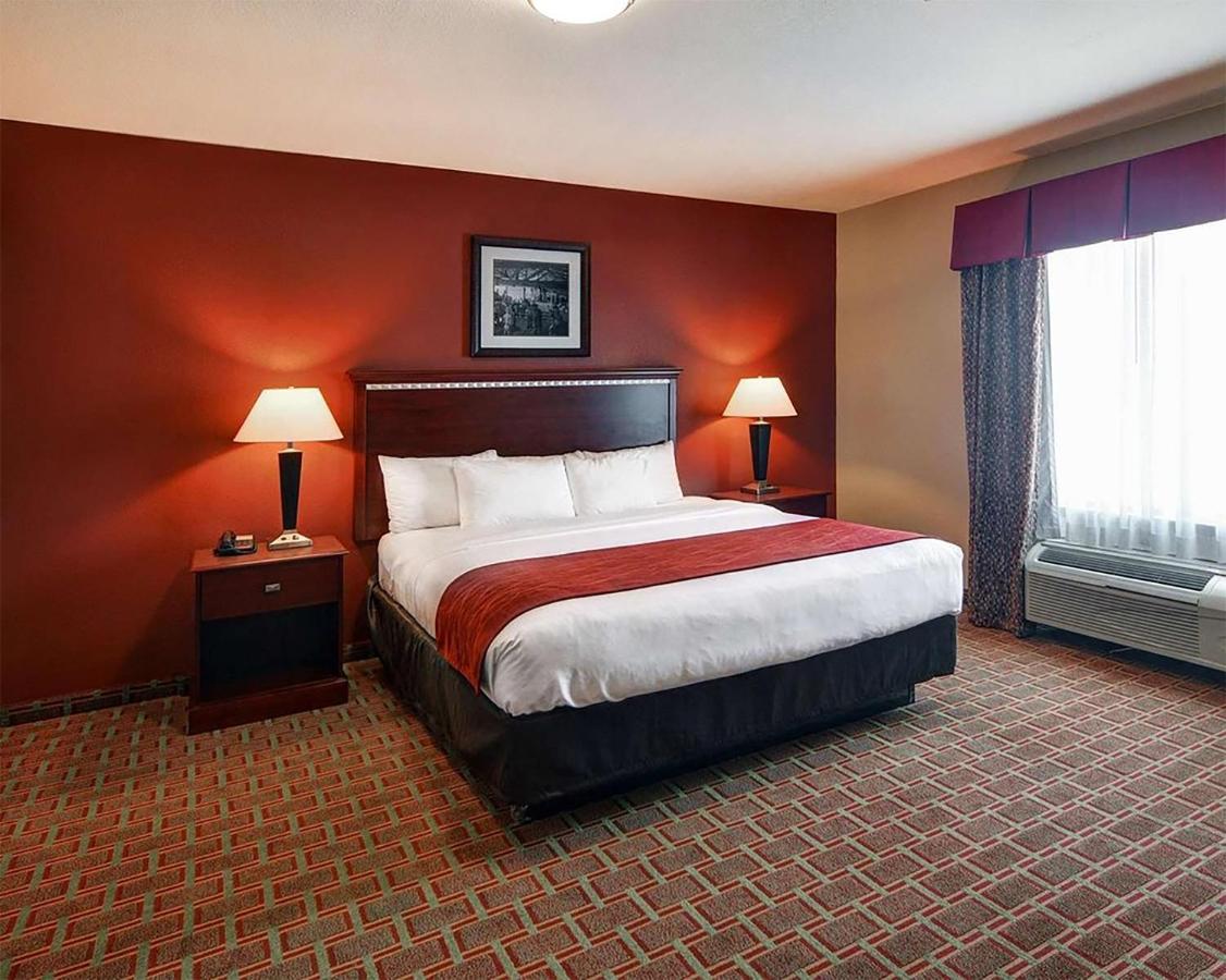 Efficiency King Suite with Kitchenette at Comfort Suites Lake Worth