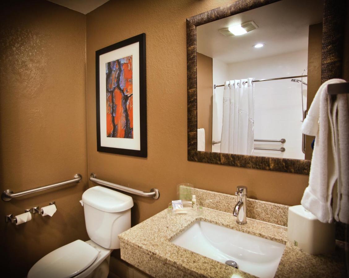 King Room with Mobility Accessible Roll-In Shower - Non-Smoking at Holiday Inn Hotel & Suites La Crosse, an IHG Hotel