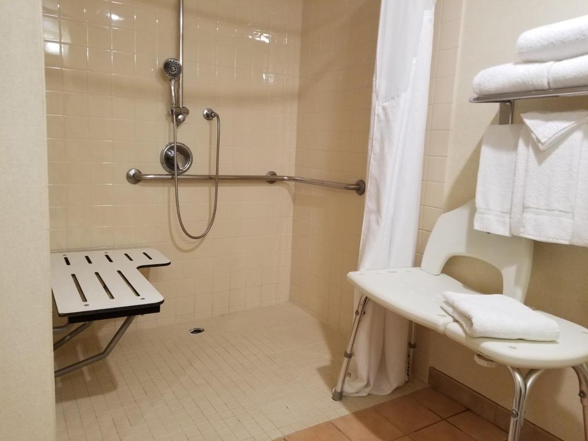 King Room with Roll-In Shower - Disability Access at Holiday Inn Hotel & Suites Anaheim by IHG
