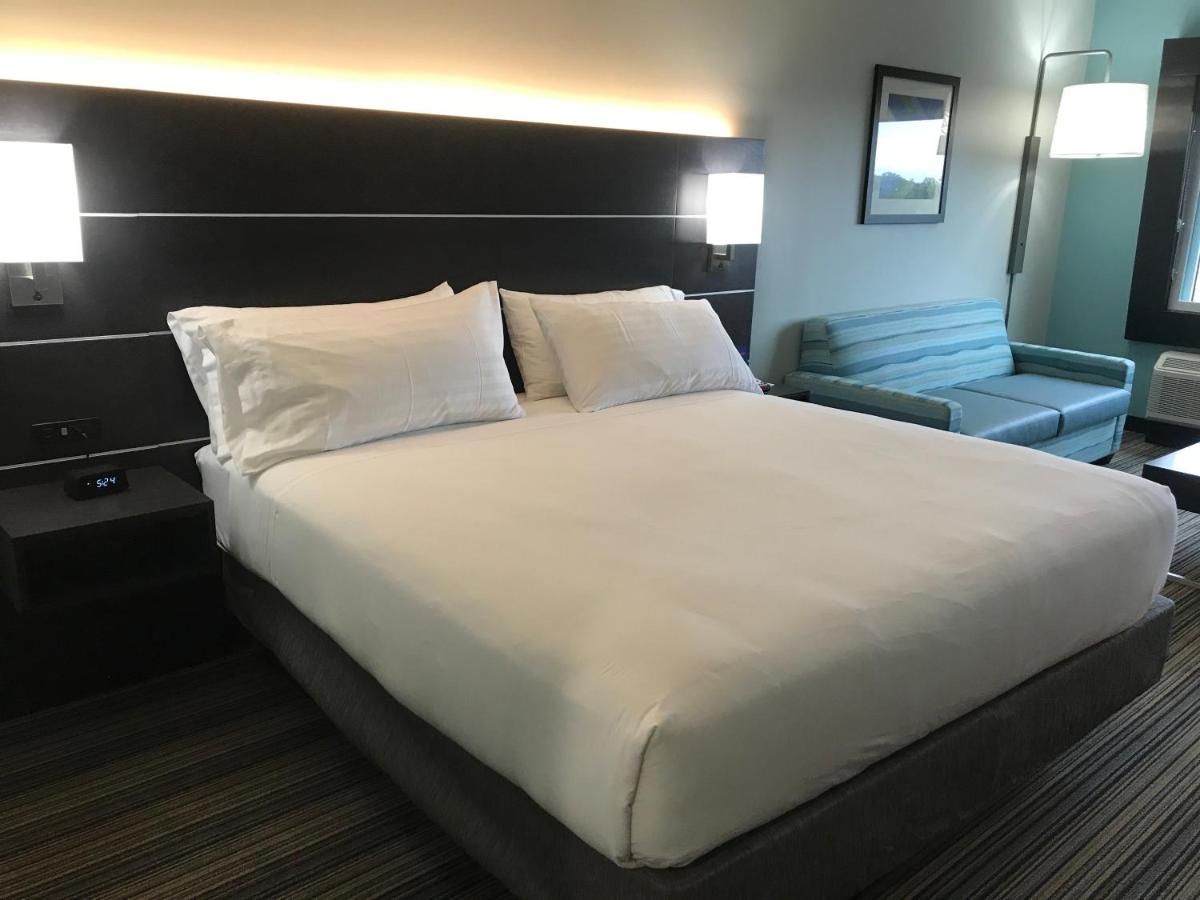 King Suite - Non-Smoking at Holiday Inn Express & Suites Greenville SE - Simpsonville by IHG