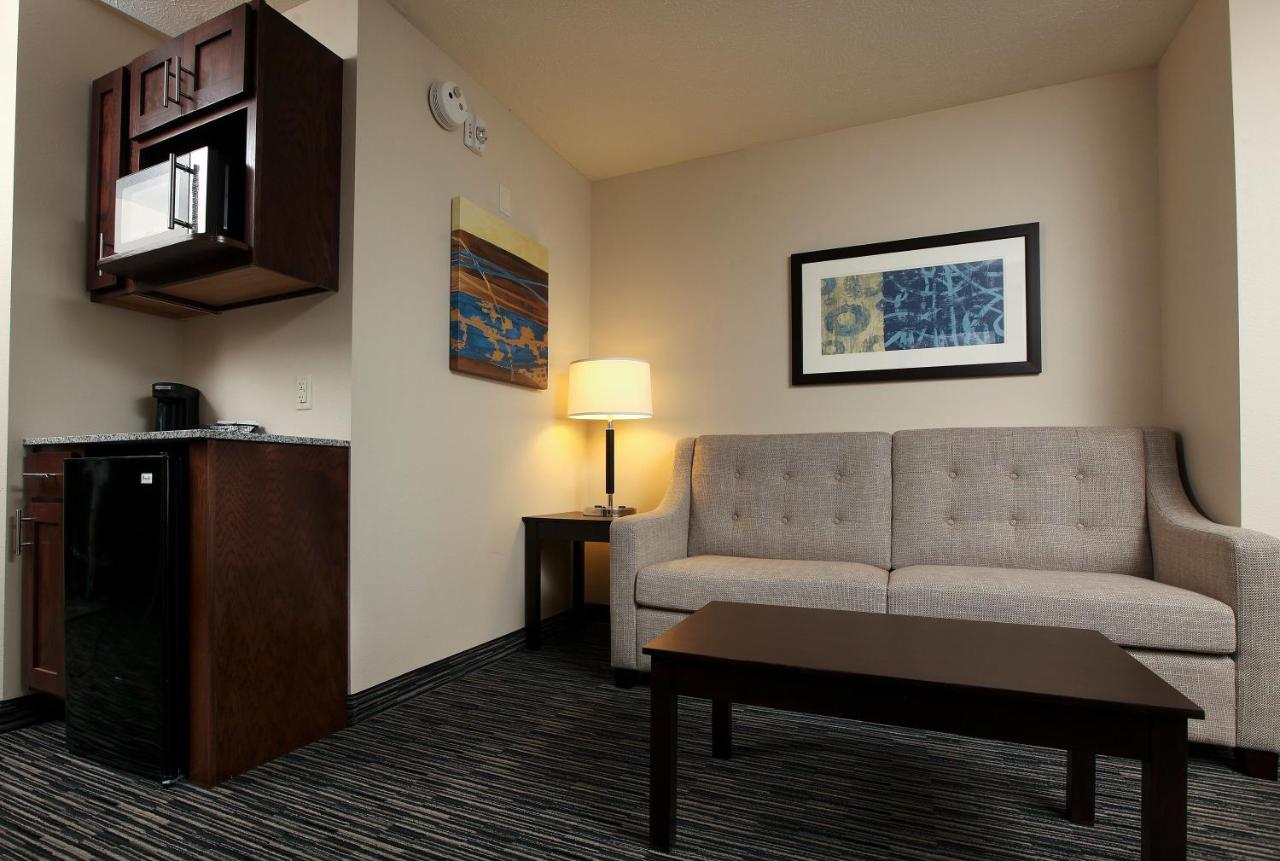 King Studio with Sofa Bed - Non-Smoking at Holiday Inn Express & Suites Omaha South - Ralston Arena by IHG