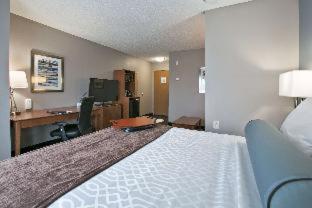 Room #50352235 at Best Western Plus Blaine at the National Sports Center