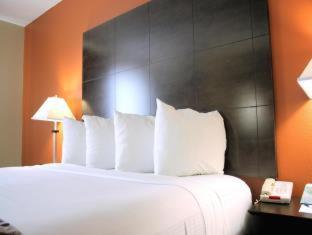 Room #43704218 at Best Western Inn & Suites