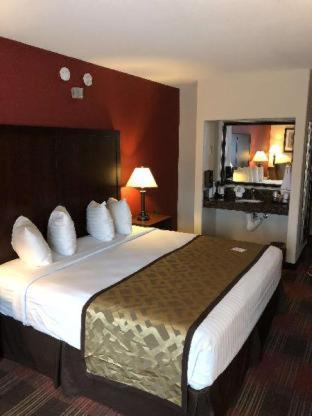 Room #52438211 at Best Western Dallas Inn & Suites