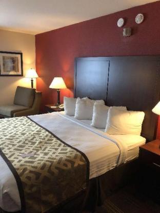 Room #52438211 at Best Western Dallas Inn & Suites