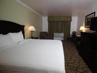 Room #26269516 at Best Western Salinas Monterey Hotel