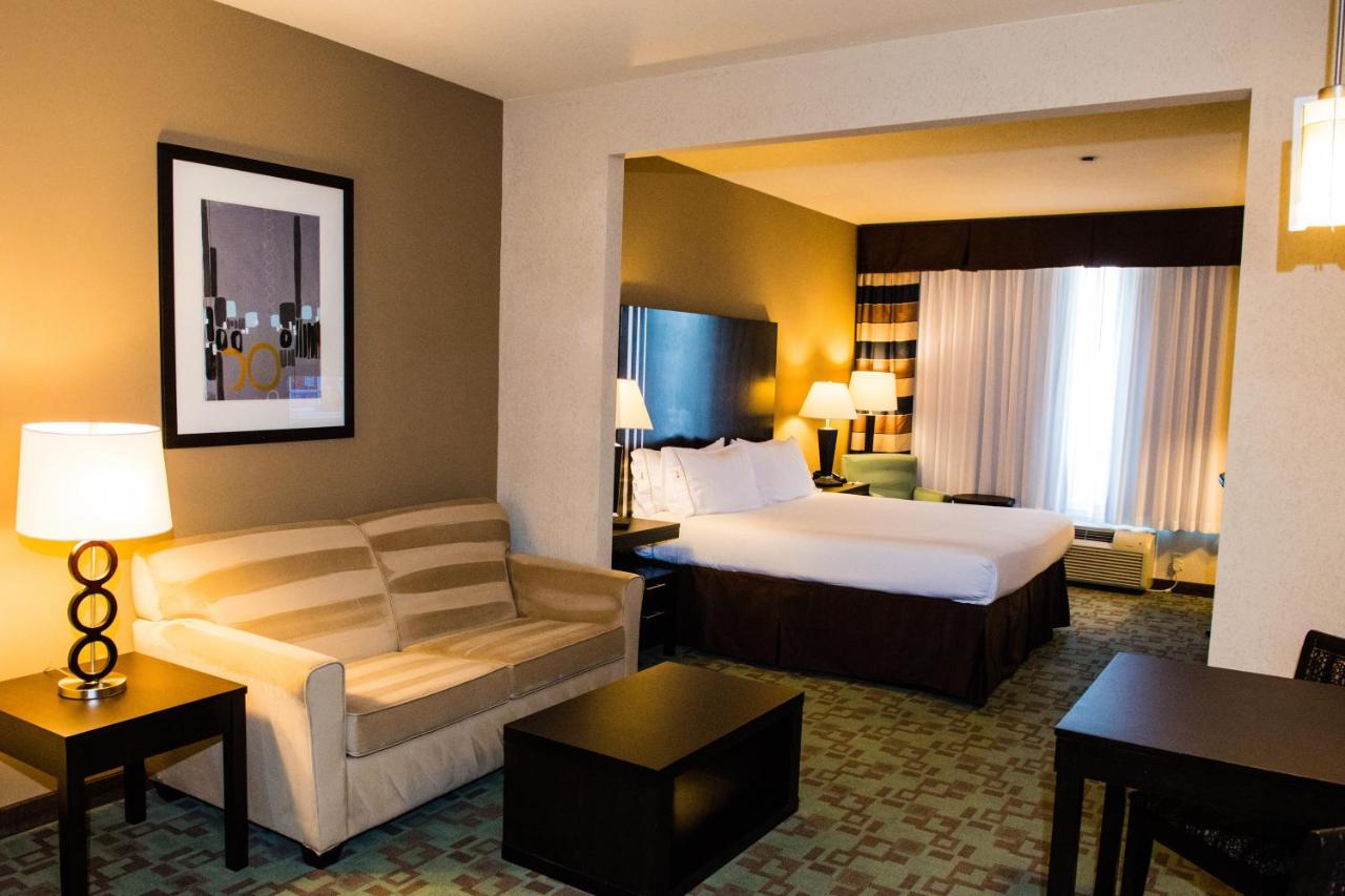 One-Bedroom King Suite with Sofa Bed at Holiday Inn Express & Suites Houston NW/Beltway 8 West Road by IHG