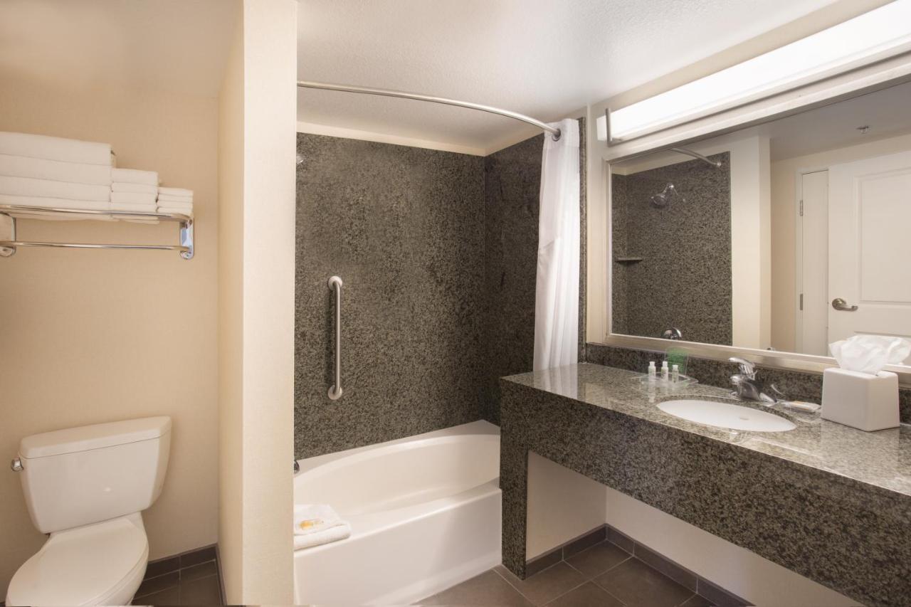 Suite at Holiday Inn Hotel & Suites Scottsdale North - Airpark by IHG