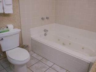 Room #7955559 at Royal Palace Westwood