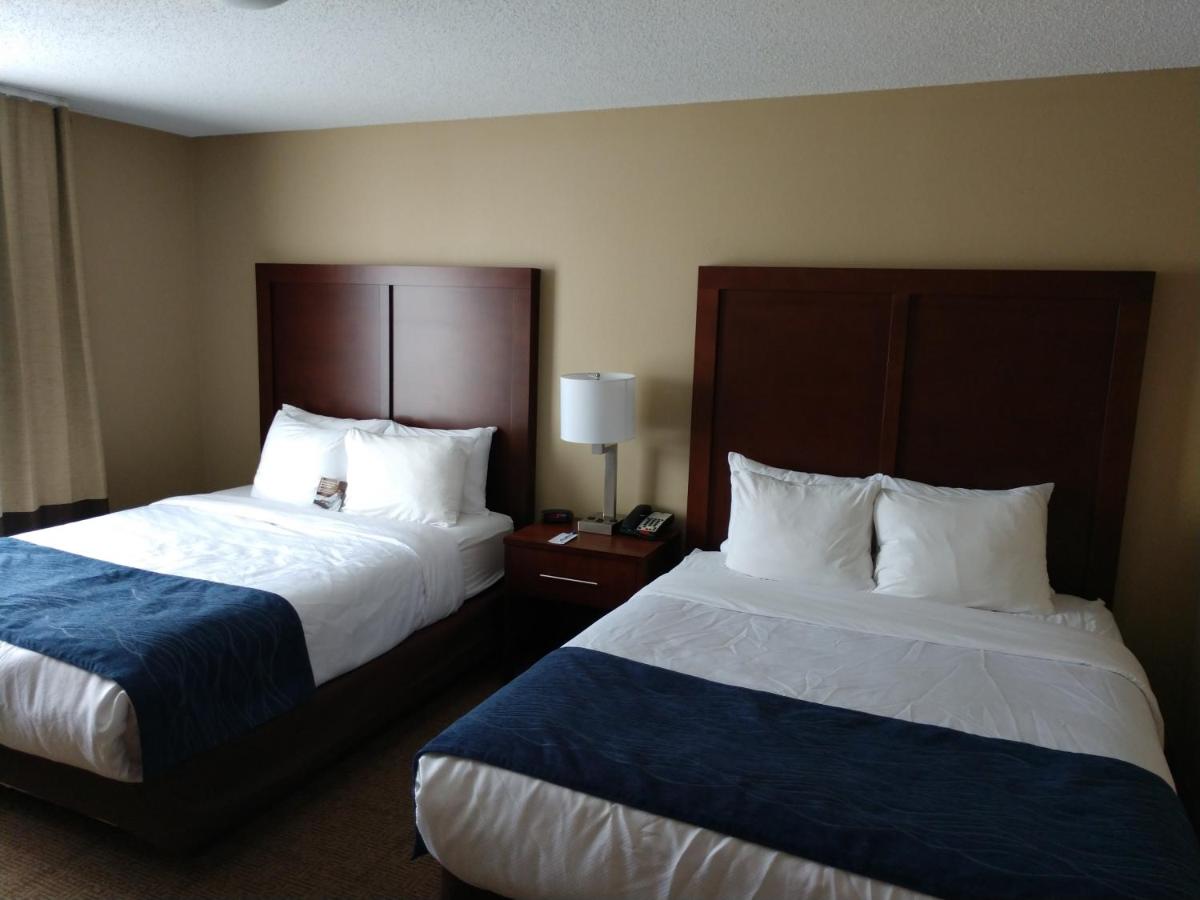 Two-Bedroom Queen Suite - Non-Smoking at Comfort Inn & Suites Milford / Cooperstown