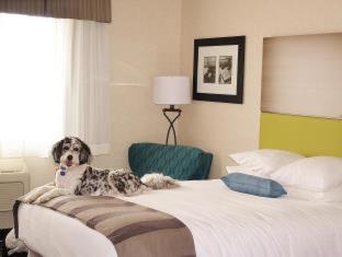 Room #53164447 at Best Western DuBois Hotel