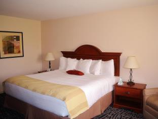Room #53164447 at Best Western DuBois Hotel