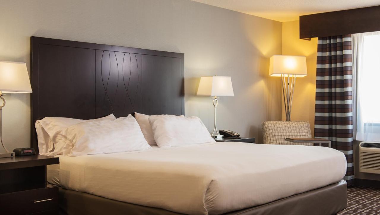 Standard King Room - Non-Smoking at Holiday Inn Express Le Claire Riverfront-Davenport by IHG