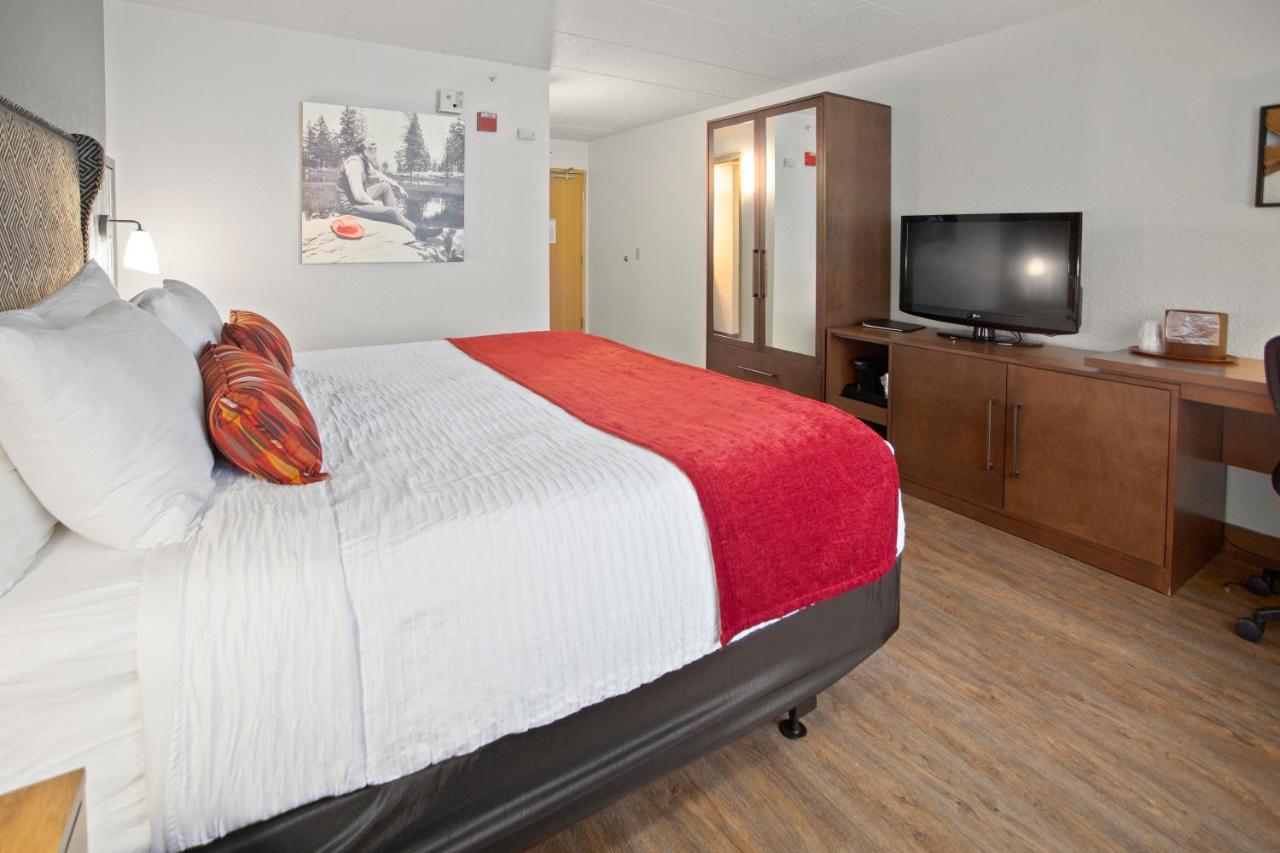 King Room - Pet-Friendly/Non-Smoking at Best Western Plus McCall Lodge & Suites