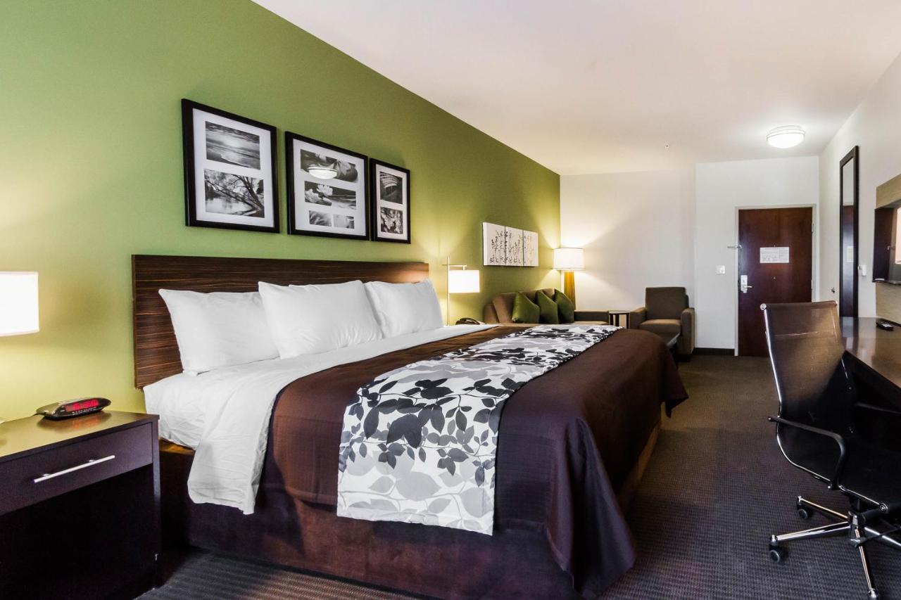 King Suite with Sofa Bed - Non-Smoking at Spark by Hilton Odessa