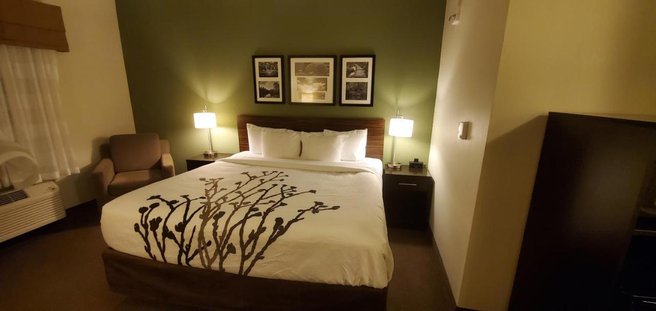 King Room - Accessible/Non-Smoking at Sleep Inn & Suites Defuniak Springs - Crestview