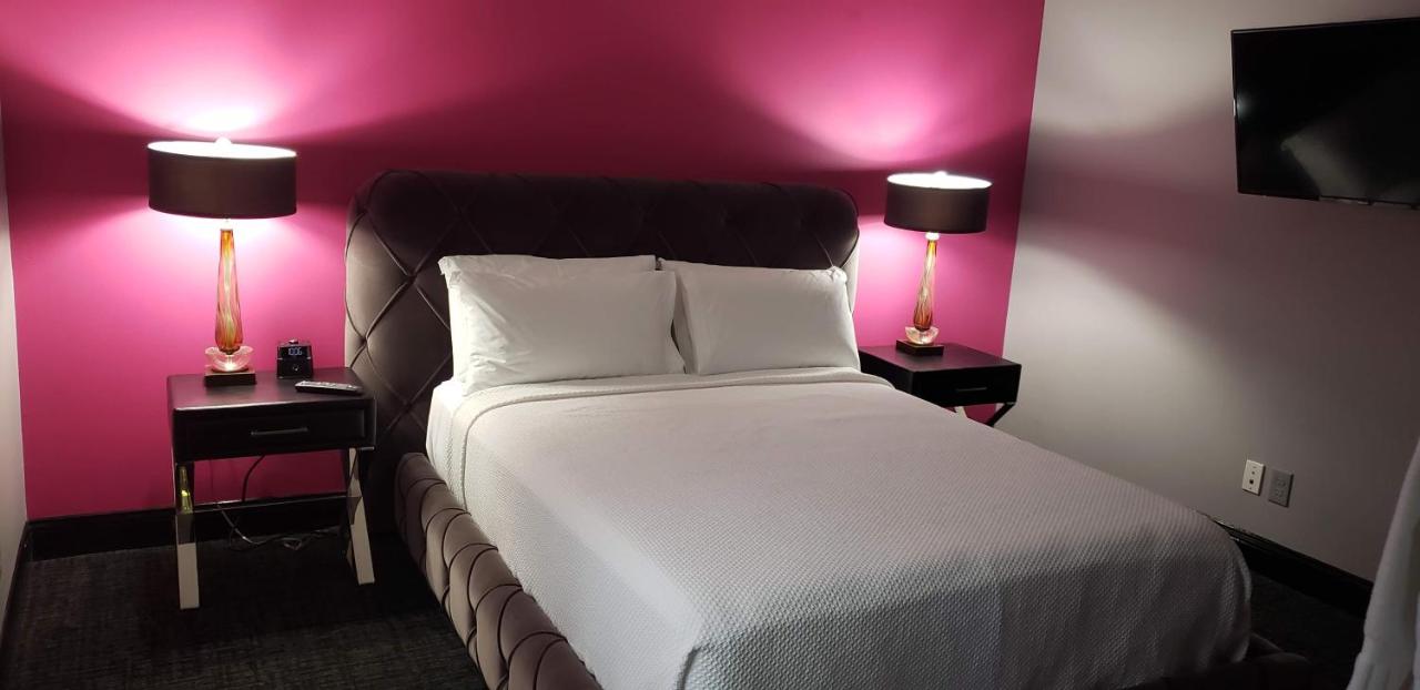 One-Bedroom Suite at Vu Guesthouse