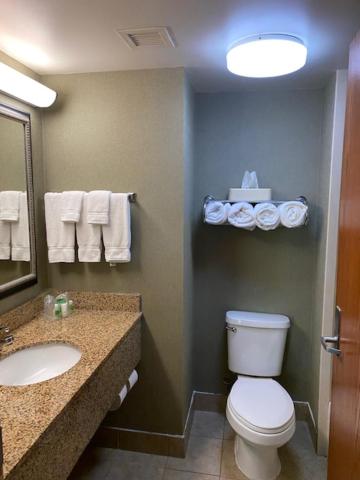King Room - Mobility Access/Roll in Shower - Non-Smoking at Holiday Inn University of Memphis All Suite, an IHG Hotel