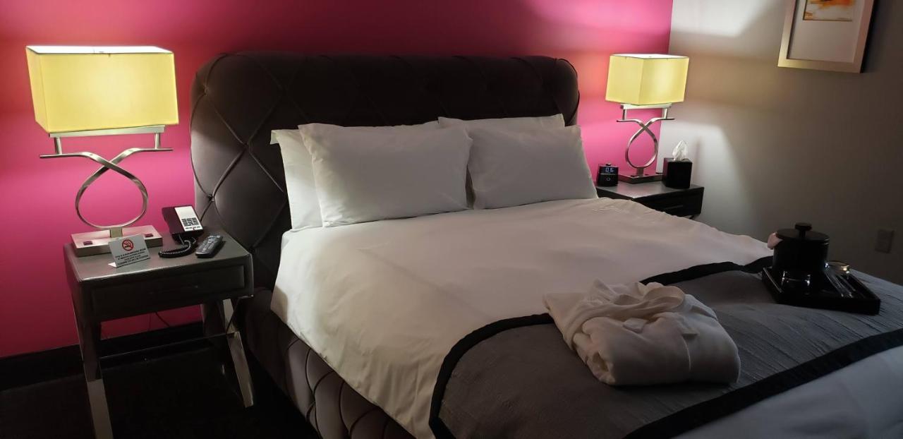 Queen Room with Roll-In Shower - Disability Access at Vu Guesthouse