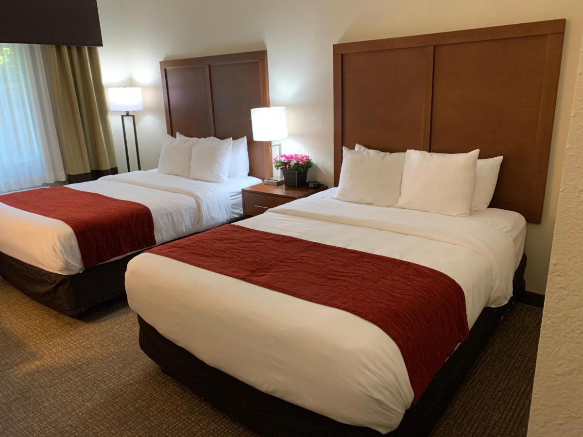 Queen Room with Two Queen Beds - Accessible/Non-Smoking at Comfort Inn South