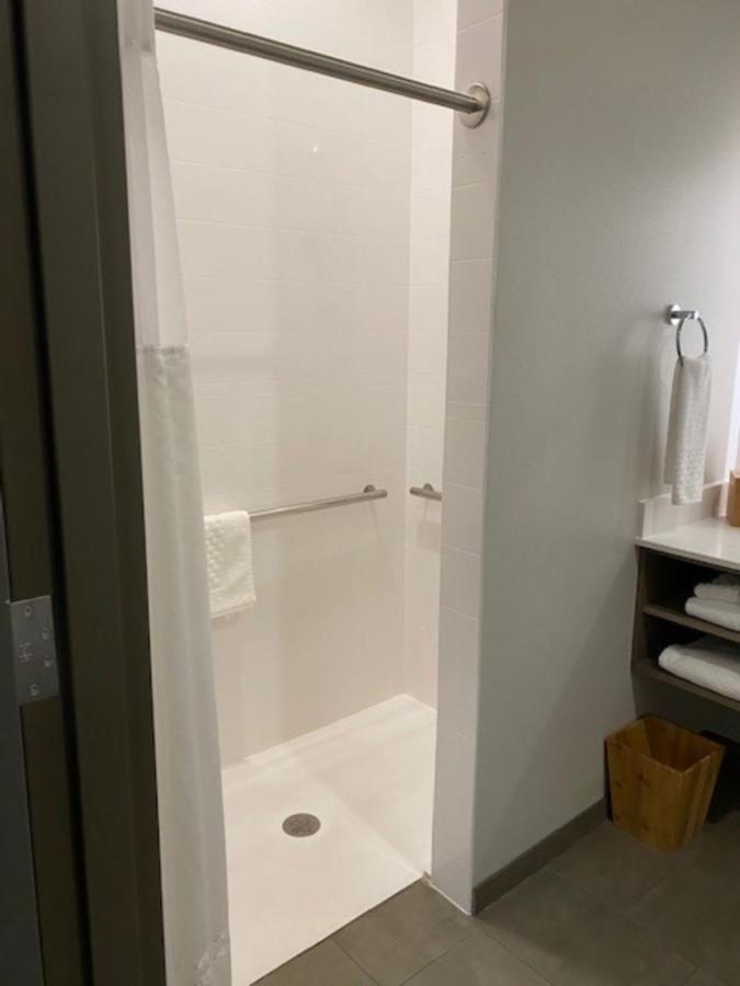 King Room with Roll-In Shower - Disability Access at Best Western Plus LaCrescent / LaCrosse